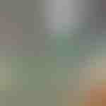 Discos de polimento (3 unid. no conjunto) | WOOLSHINE